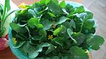     
: 20160405_175844.jpg
: 177
:	103.7 
ID:	11039157
