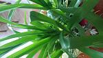     
: 20160405_175837.jpg
: 170
:	100.3 
ID:	11039158