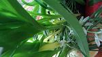     
: 20160405_175834.jpg
: 162
:	93.7 
ID:	11039159