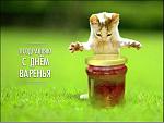     
: 35987647-kizilovoe-varene.jpg
: 6
:	52.3 
ID:	11043551