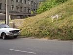     
: P9220142.JPG
: 238
:	122.7 
ID:	11045