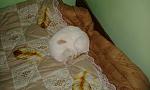     
: 20141001_090705.jpg
: 26
:	98.4 
ID:	11050023