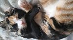     
: 20160227_153704.jpg
: 40
:	120.2 
ID:	11050987