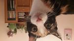     
: 20160221_223503.jpg
: 53
:	64.9 
ID:	11050990