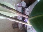     
: 20160409_142526.jpg
: 11
:	85.8 
ID:	11051219