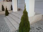     
: DSC01372.jpg
: 17
:	118.5 
ID:	11051261