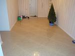     
: DSC01317.jpg
: 12
:	76.7 
ID:	11051262