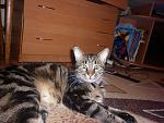     
: P1240570.jpg
: 50
:	140.3 
ID:	11051891