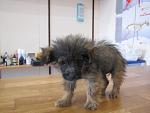     
: IMG_7369.jpg
: 46
:	81.9 
ID:	11052565