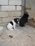     
: IMG_7367.jpg
: 9
:	94.1 
ID:	11052601