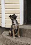     
: IMG_7352.jpg
: 7
:	87.8 
ID:	11052711