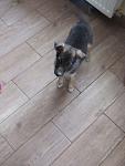     
: IMG_7364.jpg
: 8
:	66.5 
ID:	11052715
