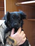     
: IMG_7361.jpg
: 16
:	48.6 
ID:	11052775