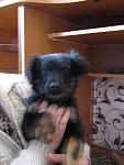     
: IMG_7360.jpg
: 8
:	69.4 
ID:	11052777
