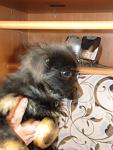    
: IMG_7354.jpg
: 8
:	77.1 
ID:	11052778