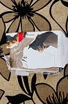     
: _DSC4517.jpg
: 28
:	140.2 
ID:	11054333