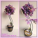     
: FZvh4fIGIt8.jpg
: 5
:	102.2 
ID:	11056178