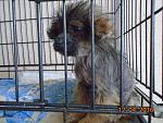     
: 2016-04-12 10-43-02.jpg
: 20
:	188.0 
ID:	11062495