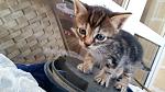    
: 20160412_183823.jpg
: 10
:	89.4 
ID:	11063165