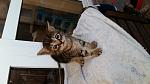     
: 20160412_183925.jpg
: 15
:	104.3 
ID:	11063212