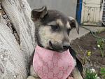     
: IMG_7325.jpg
: 28
:	186.7 
ID:	11063639
