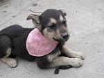     
: IMG_7335.jpg
: 19
:	183.2 
ID:	11063642