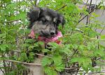     
: IMG_7338_2.jpg
: 21
:	219.5 
ID:	11063643