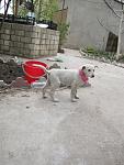     
: IMG_7343.jpg
: 23
:	102.8 
ID:	11063644