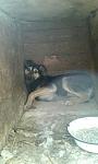     
: bb9f27c040f74a838e0c939a24aeff2bb3abd0e6e4b2209292ab191ee1b50b0a_full.jpg
: 21
:	70.0 
ID:	11063672