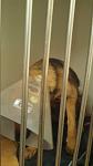     
: IMG_20160413_144841_735.jpg
: 11
:	46.8 
ID:	11066093