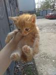     
: b2mve7bOmaA.jpg
: 54
:	46.0 
ID:	11066160