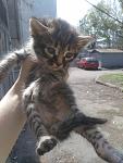    
: 3F93bzb791g.jpg
: 71
:	59.5 
ID:	11066161