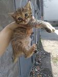     
: xnsEXH_5QxY.jpg
: 57
:	62.0 
ID:	11066162