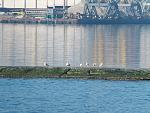     
: P4130046.jpg
: 92
:	166.5 
ID:	11066720
