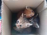     
: мииии.jpg
: 27
:	64.8 
ID:	11067017
