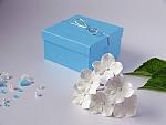     
: white hydrangeas - 12.jpg
: 8
:	81.8 
ID:	11072852