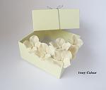     
: hydrangea ivory - 1.jpg
: 10
:	87.9 
ID:	11072858