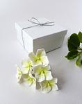     
: hydrangea set 6 pcs - white-green - 2.jpg
: 14
:	121.5 
ID:	11072874