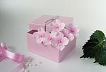     
: pink hydrangea - 1.jpg
: 10
:	108.2 
ID:	11072897