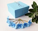    
: hydrangea set 6 pcs - blue - 3.jpg
: 7
:	165.1 
ID:	11072917