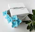     
: hydrangea set 6 pcs - aqua - 1.jpg
: 14
:	146.7 
ID:	11072928