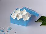     
: white hydrangeas - 11.jpg
: 9
:	138.1 
ID:	11072957