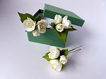     
: Philadelphius - 1.jpg
: 7
:	126.1 
ID:	11072960