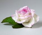     
: 3 - magenta rose - 1.jpg
: 7
:	106.0 
ID:	11072962