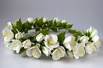    
: 5.1 - Philadelphus (Jasmine) tiara - 1.jpg
: 11
:	116.8 
ID:	11072967