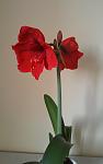     
: 20160416_091540.jpg
: 13
:	40.1 
ID:	11074486