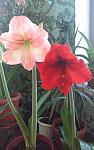     
: 20160416_091011.jpg
: 10
:	90.1 
ID:	11074487