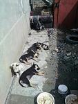     
: 23b882cefe5af2003c0c32044a23b3a0425e7d5e1211227cec44cf3a0667f0fc_full.jpg
: 21
:	32.0 
ID:	11078684