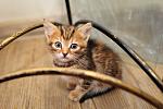     
: _DSC0531.jpg
: 10
:	91.8 
ID:	11079709