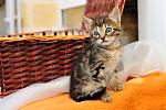     
: _DSC0574.jpg
: 13
:	115.2 
ID:	11079712